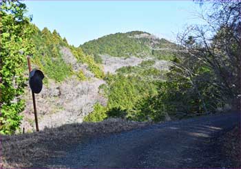 天神山望む