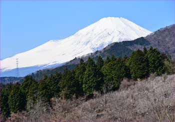 富士山