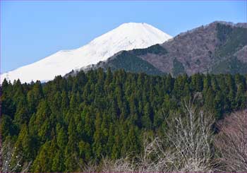 富士山