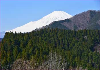 富士山