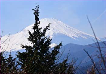 富士山