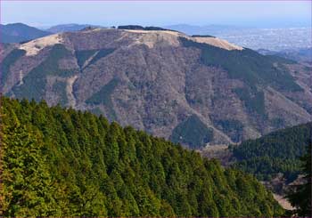 大野山