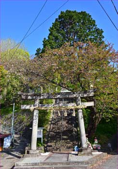 素鵞神社