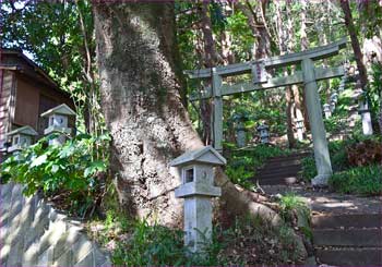 浅間神社鳥居