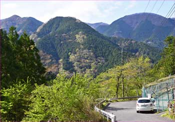 氷川漁養魚池