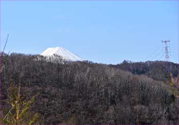 富士山が