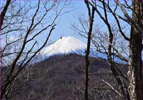 富士山