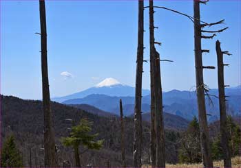 富士山