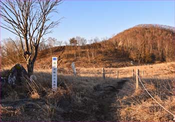 湯ノ沢峠のお花畑