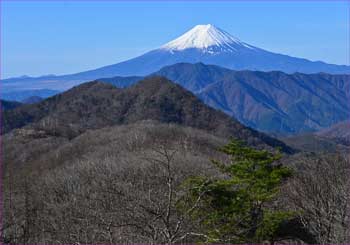 富士展望