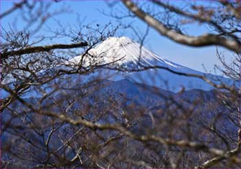 富士山