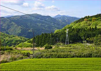 金時山