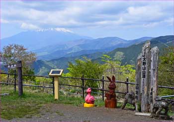 大野山山頂