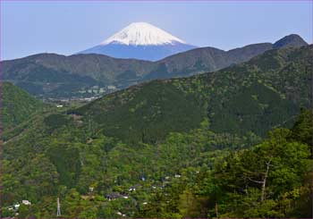 富士山