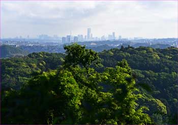 横浜展望