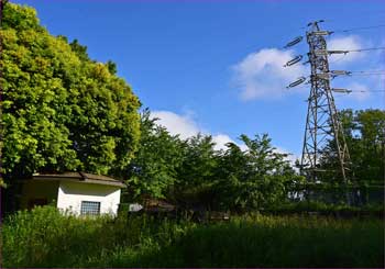 高野制水池