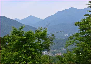 滝子山