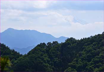 富士山