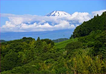 富士山