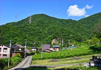 山市場