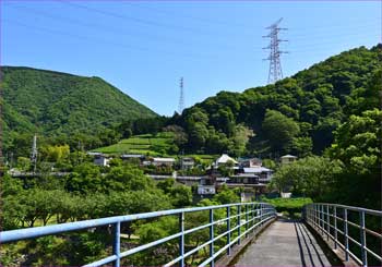 山市場