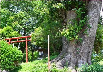 神社