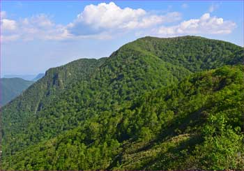 大源太山