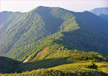 小屋が