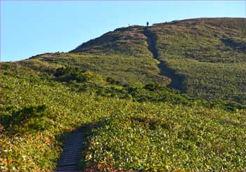 山頂へ