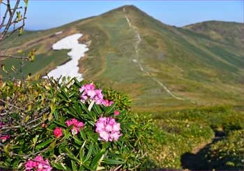 平標山