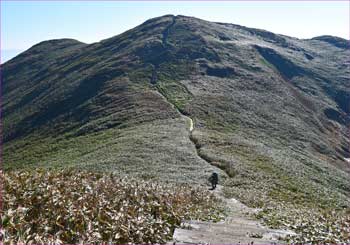 仙ノ倉山