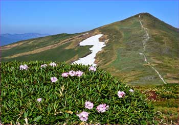 平標山