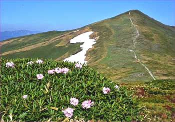 平標山