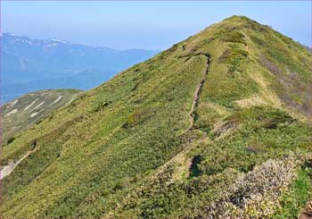 松手山尾根