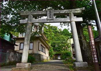 紀伊神社鳥居