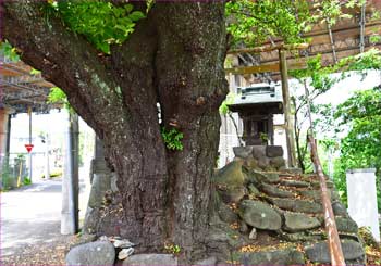 道行きの神社