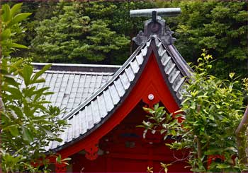 海南神社の本殿