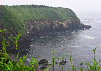 城ヶ島岩壁