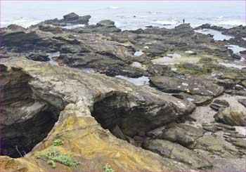 馬の背洞門海岸