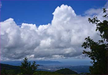 夏雲