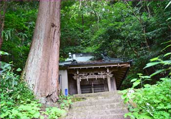 住吉神社へ