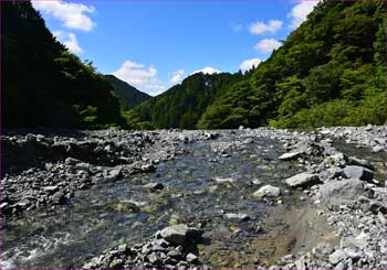 寄沢