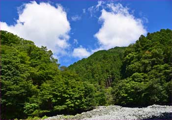 夏雲