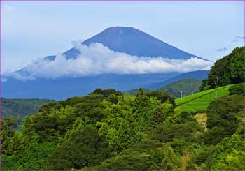 富士山