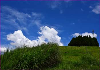 大野山牧場