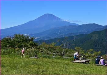 大野山富士