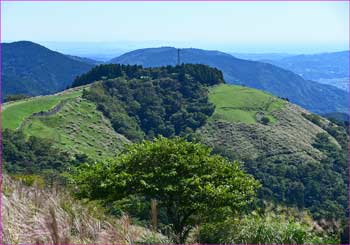 薫る野牧場