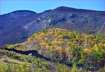 富士山