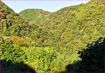 洒水の滝の山