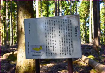 浜居場城跡碑